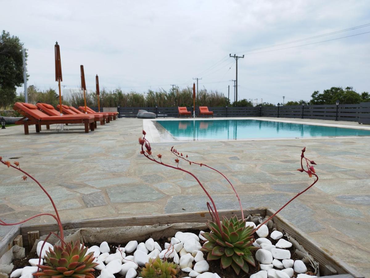 Auberge de jeunesse Nikos *